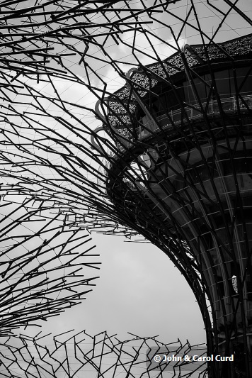 _MG_5529 Supertrees mono.JPG